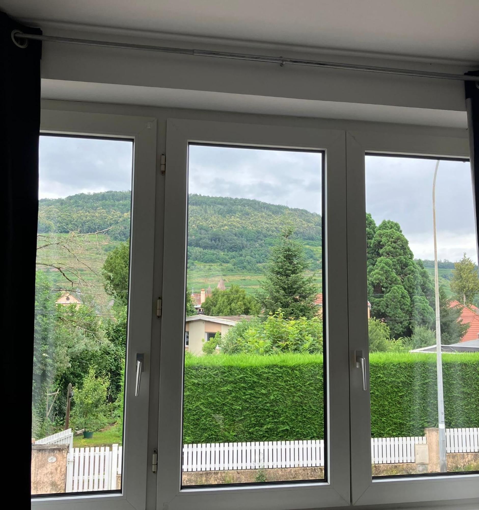Le Cocon Daire Guebwiller Dış mekan fotoğraf